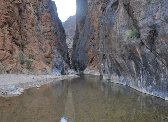 wadi bani awf